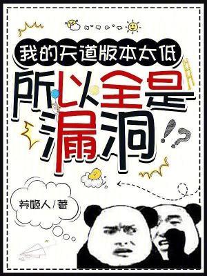 所以全是漏洞笔趣阁手机版