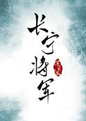 长宁将军电视剧