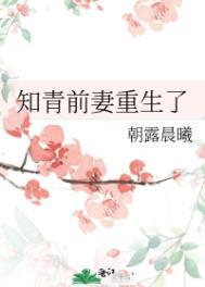 知青前妻重生了全文免费阅读
