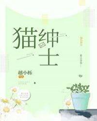 猫绅士为什么打不开