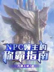 领主攻略