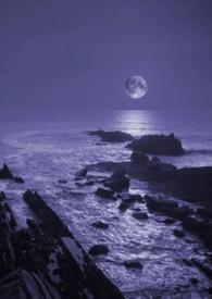 暗夜与黎明电视剧免费观看高清