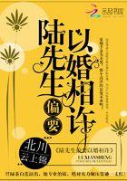 陆先生偏要以婚相许最新