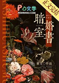 暗室婚书晋江