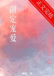 固定是啥