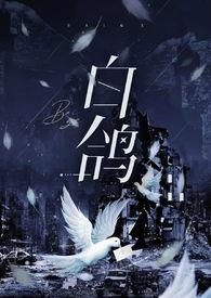 白鸽哔哩哔哩