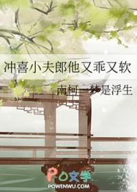 冲喜小夫郎by水三金 百度
