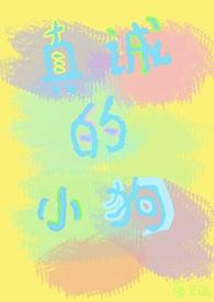 真诚的小作文