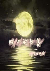 眸中什么意思是什么