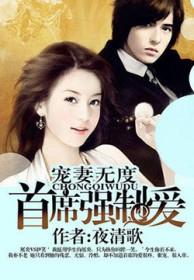 宠妻无度首席的天价前妻