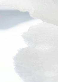 何遇校园
