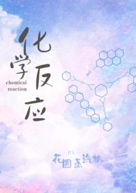 化学反应校园h