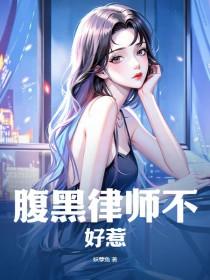 腹黑律师不好惹全文