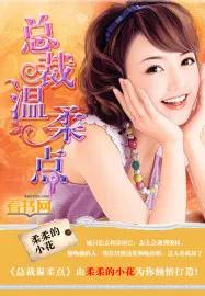 总裁好温柔