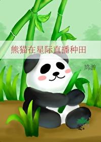 熊猫在星际直播种田全文TXT