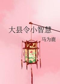 大县令小仵作第二部全文免费阅读