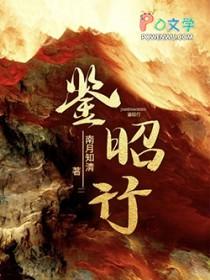 鉴昭行txt盘