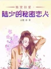 陆少的秘密恋人