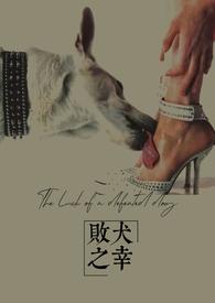 败犬攻略