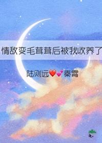 情敌变成了我的猫怎么办在线等急