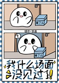 我什么没见过