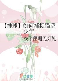 小排球猫