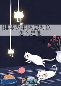 排球少年情侣