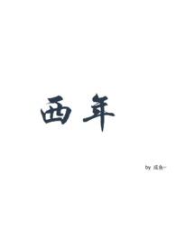 西年什么意思