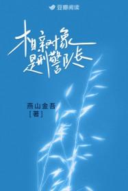 我的相亲对象是刑警队长