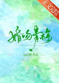 婚吻青梅番外百度