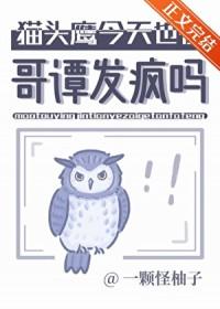 猫头鹰版