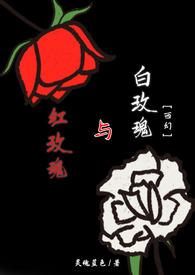 红玫瑰与白玫瑰电子书