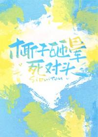 椰子砸晕死对头txt