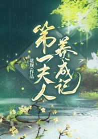 第一夫人txt
