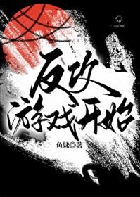反攻章节