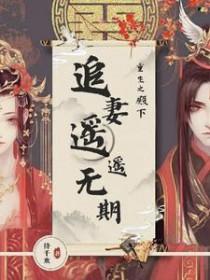 重生追夫