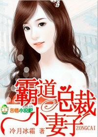 霸道总裁的小娇妻是什么
