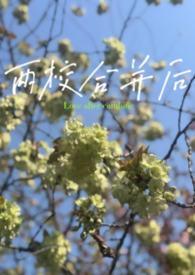 两校合并后党组织是改选还是补选