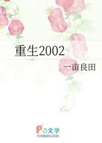 重生2002我的大学时代
