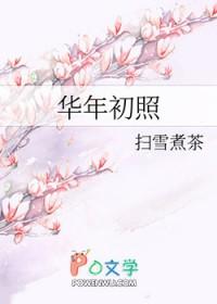 华年初照txt