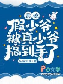 震惊假少爷被真少爷搞到手了晋江