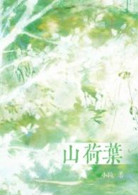 山荷叶的别名