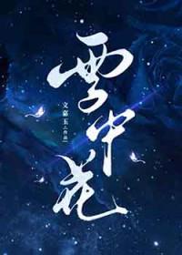 雪中花galgame