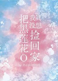 我真没想把黑莲花O捡回家全文阅读