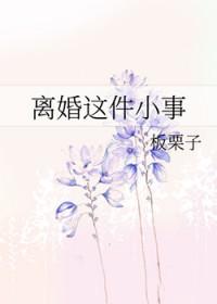 离婚这件小事 板栗子百度
