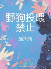 野狗喂养幼崽