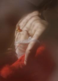狐狸作品