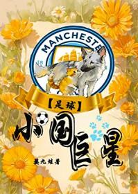 足球小国巨星TXT百度