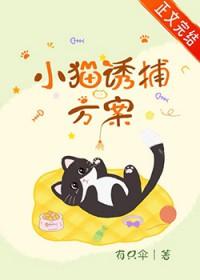 怎么样诱捕猫
