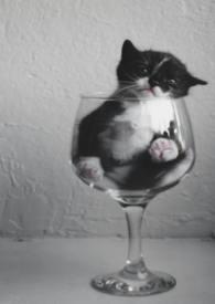 哒哒的马蹄声我不是过客是归人